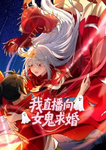 铁皮月亮动画条目封面图